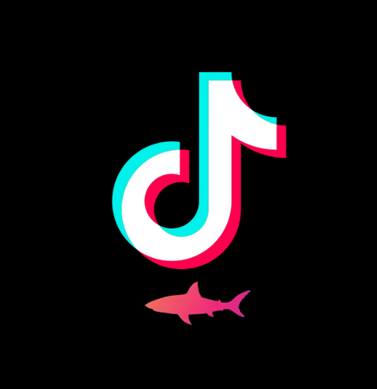 Tik Tok | Visualizzazioni WORLDWIDE